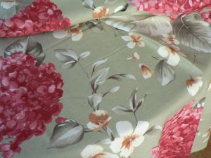 hortensia