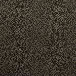 clarke_clarke_cesare_walnut