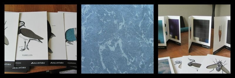 alcantara mystirica Lelievre