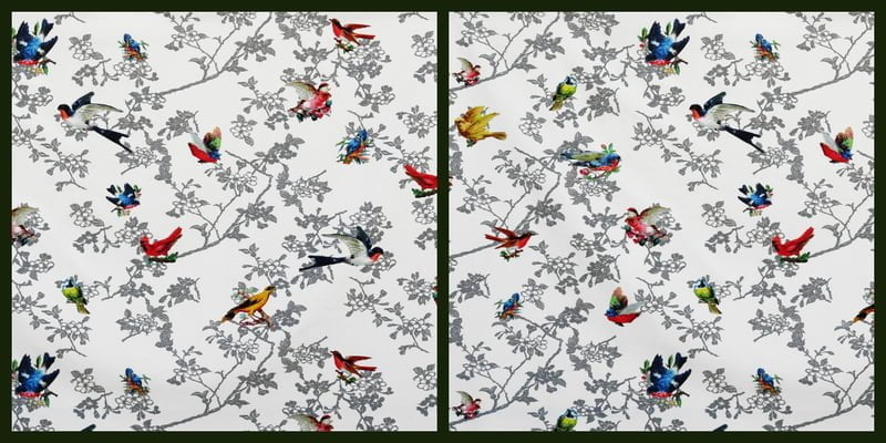 l'oiseau sur la branche Catherine Mettetal