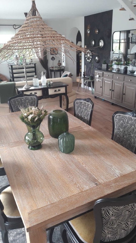chaises salon