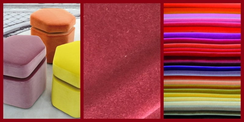 cosmos Leli&egrave;vre